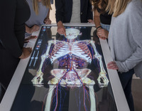 Group of people gathered around an interactive touchscreen table displaying a detailed anatomical image of the human body, with one person pointing at the screen.