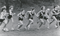 Several cross country runners wearing Providence College uniforms running along a field outside.