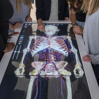 Group of people gathered around an interactive touchscreen table displaying a detailed anatomical image of the human body, with one person pointing at the screen.