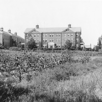 Black and white photo of a large three-story brick building with cupolas, flanked by two smaller buildings, set behind a field with rows of corn and surrounded by trees.