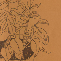 Orange cover of the Alembic journal with a brown drawing of a plant in a pot.